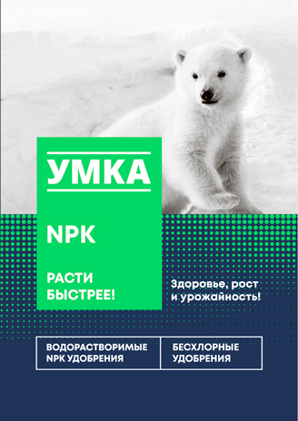 umka_concept_5_4sku%201 2