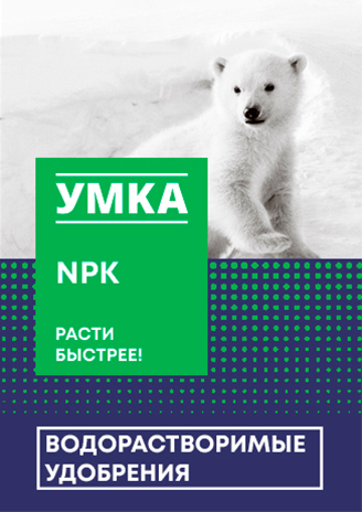 umka_concept_5_4sku%201 2